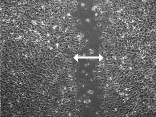 12 giờ sau khi dùng thuốc