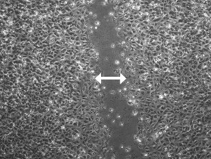 72 giờ sau khi dùng thuốc