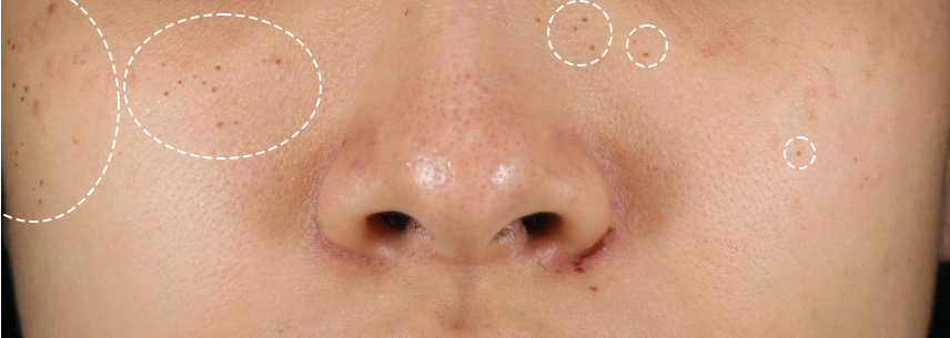 <p>Các nhà nghiên cứu</p>
